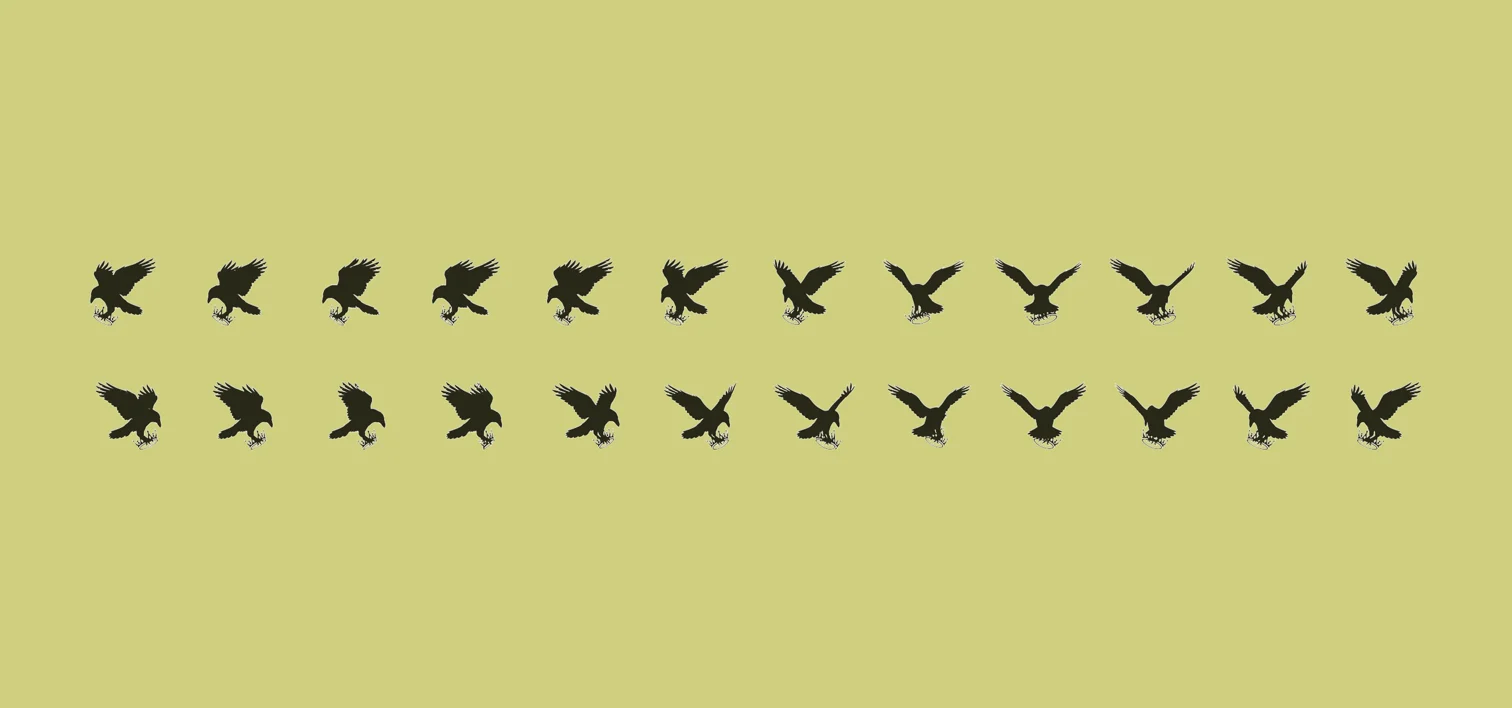 CROWNTHIEF crow symbol explorations